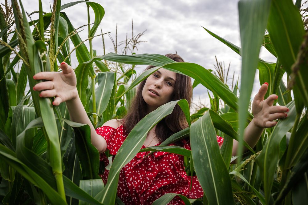 Photograph by Екатерина Шугаева