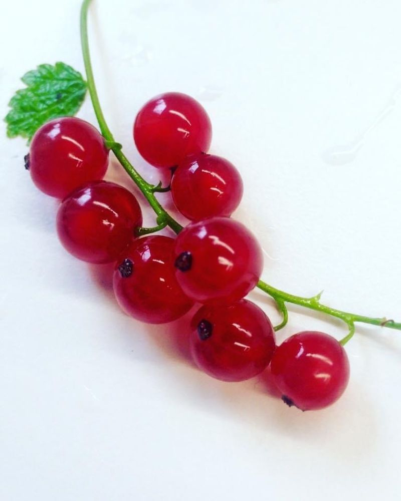 Кислый минимализм