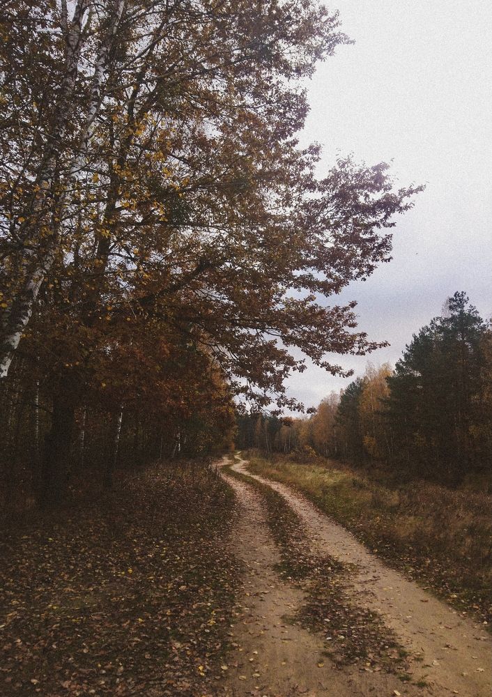 Photo #6349705