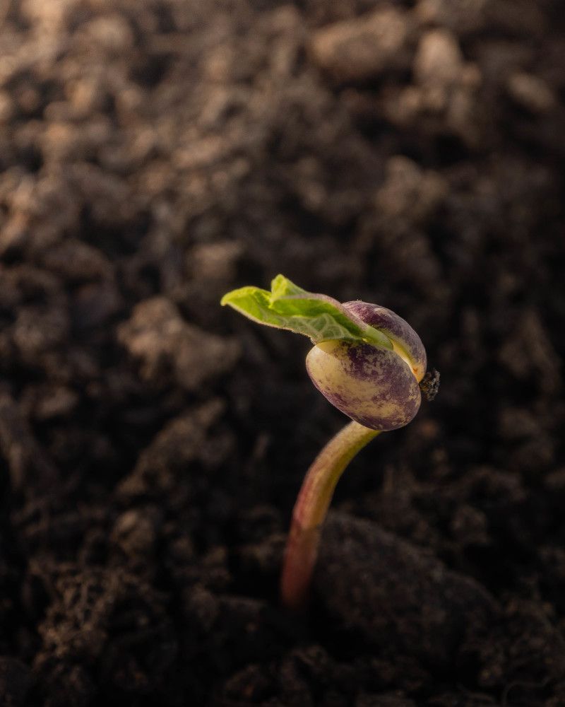 Фотография автора Andre Barbosa