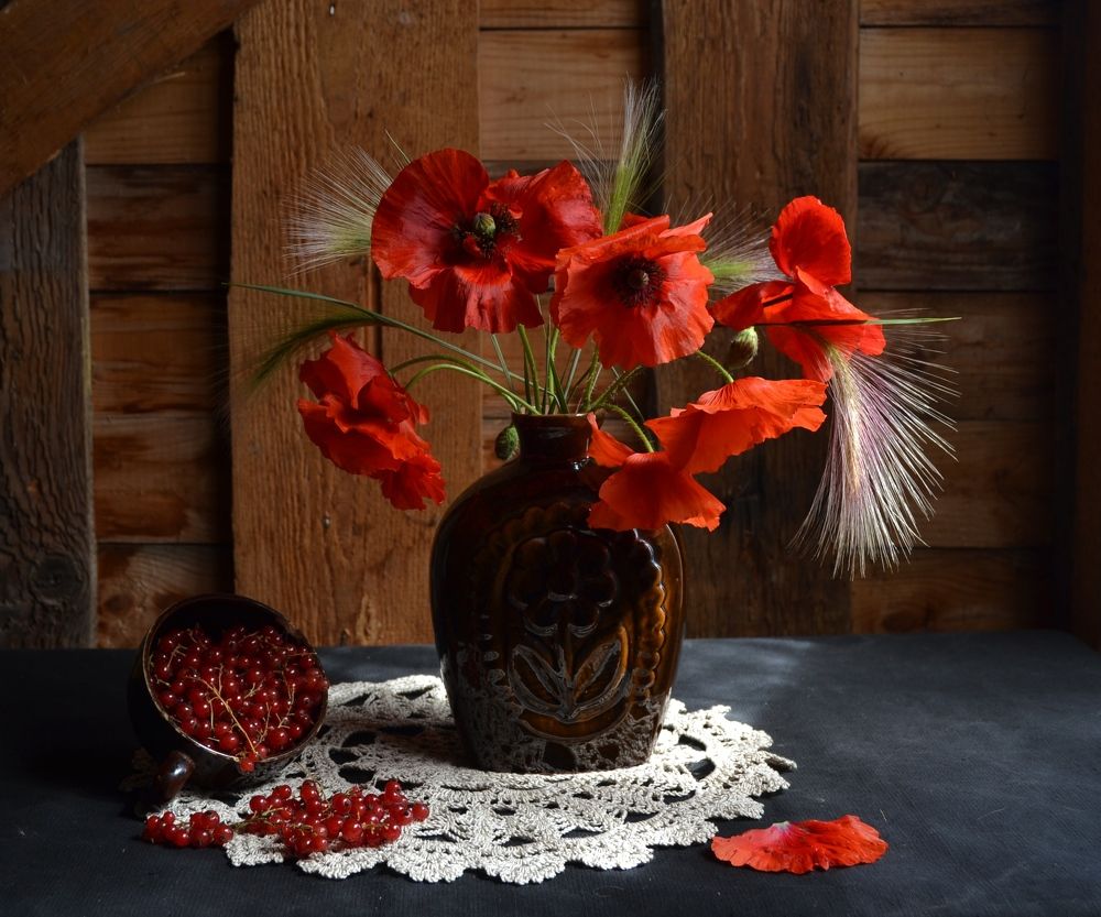 Красный мак