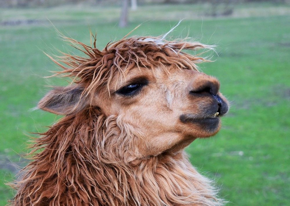 Photograph by Олександр Розум