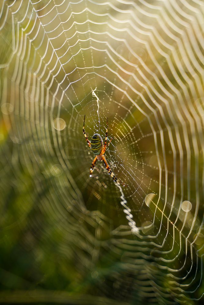 Photograph by Александр Кочергин