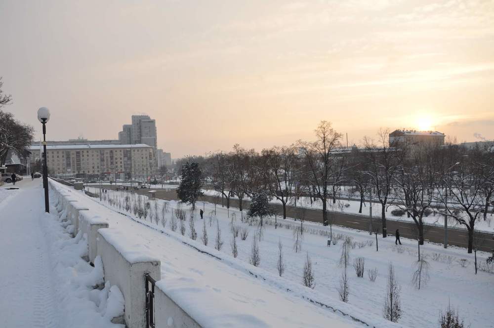 Photograph by Галина Лысых