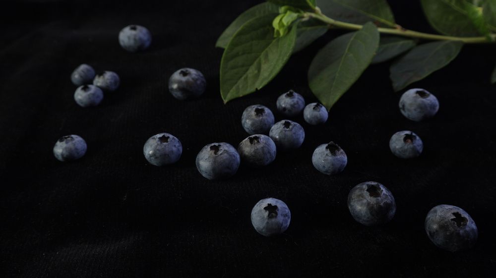 Photograph by Татьяна Маринич