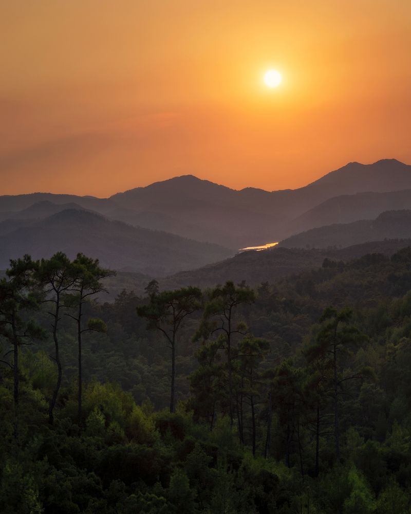 Photograph by Марина Ческис