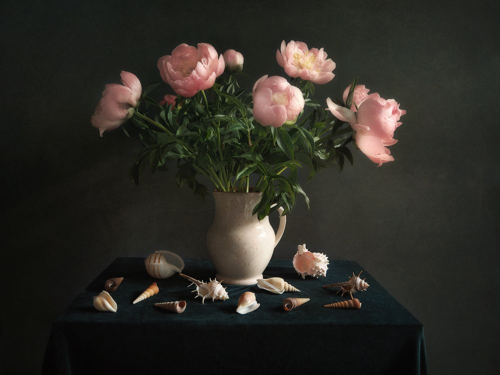 Фотография автора Vera Eremeeva