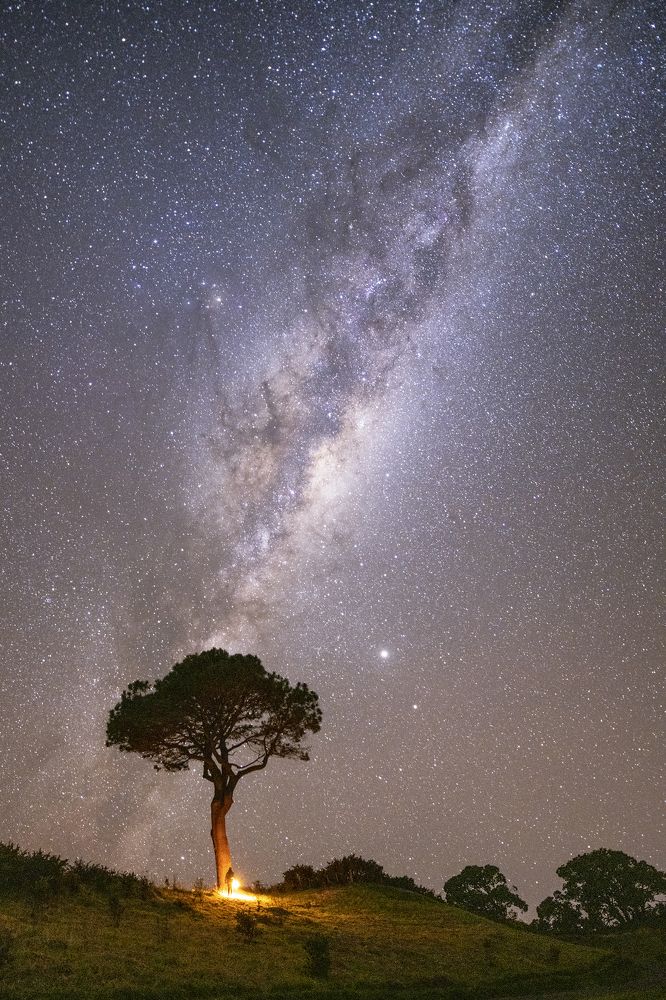 Photograph by Coni Flores