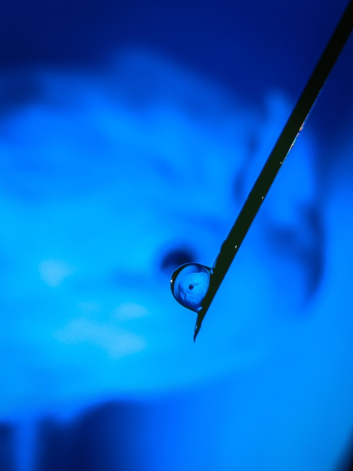 Droplet