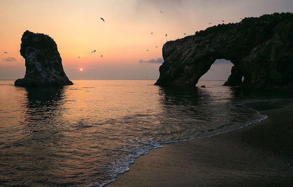 Птичье утро