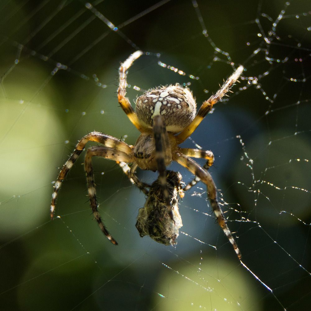 Photograph by Олег Башкуров