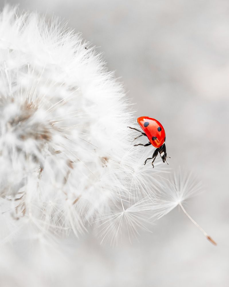 Photograph by Юлия Ключик