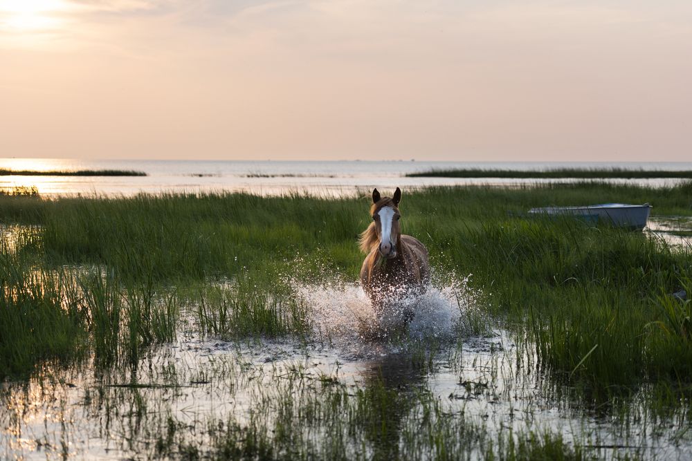 Photograph by Елена Вторушина