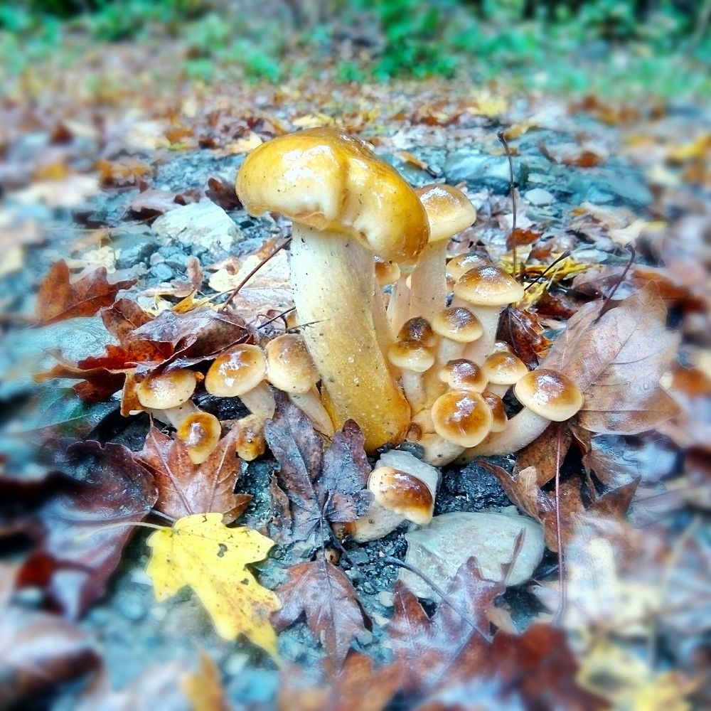 Photograph by Николай Ковальчук