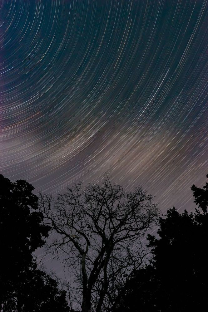 Photograph by Ирина Левакова