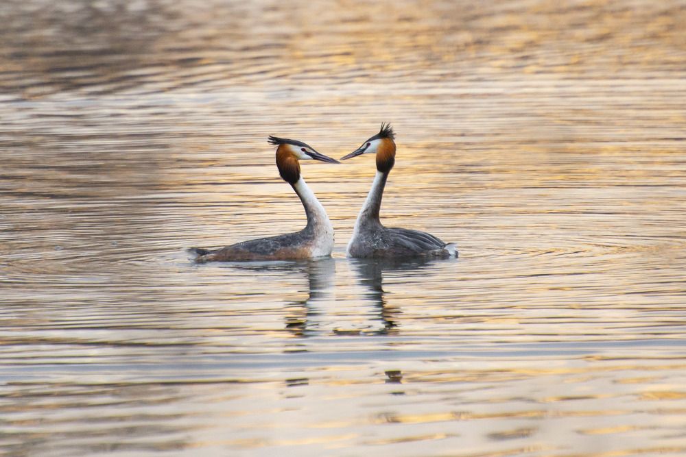 Photograph by Мария Долбич