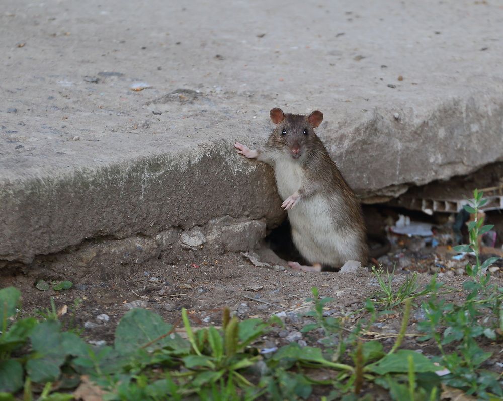 Photograph by Станислав Вершинин