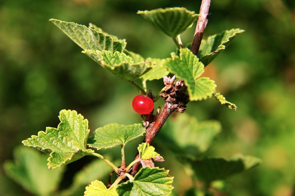 Photograph by Александр Малютин