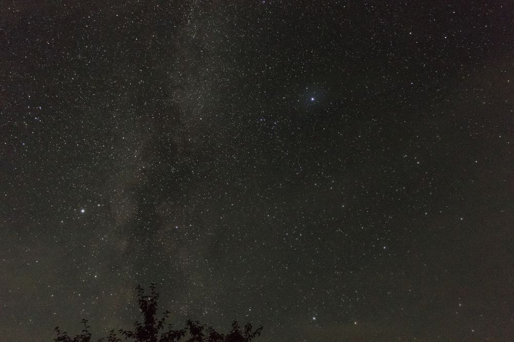 Photograph by Мария Тёмкина