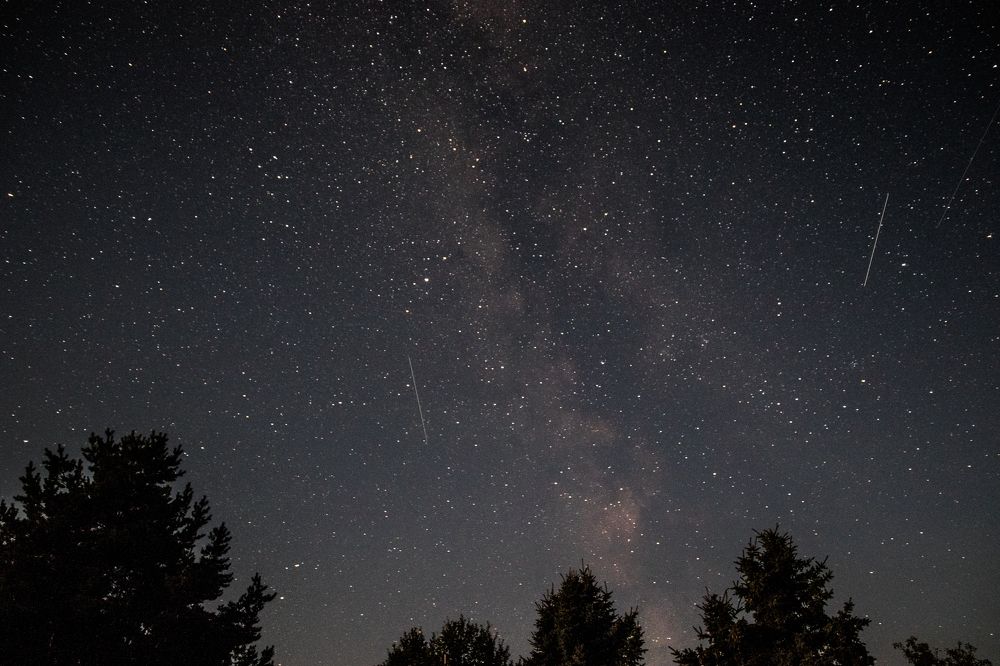 Photograph by Мария Тёмкина