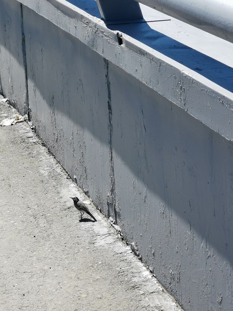 Photograph by Юлия Кузнецова