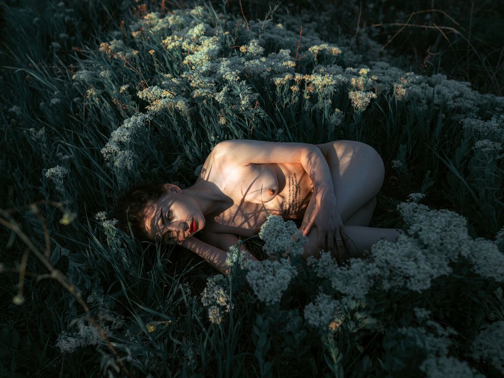 Фотография автора Георгий Сигал