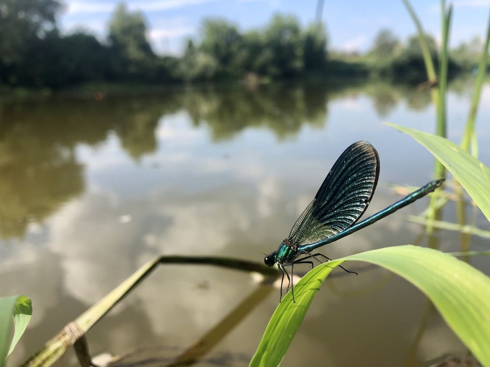Photograph by Маргарита Гострик
