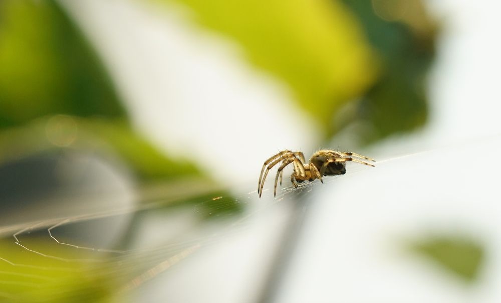 Photograph by Андрей Шартов