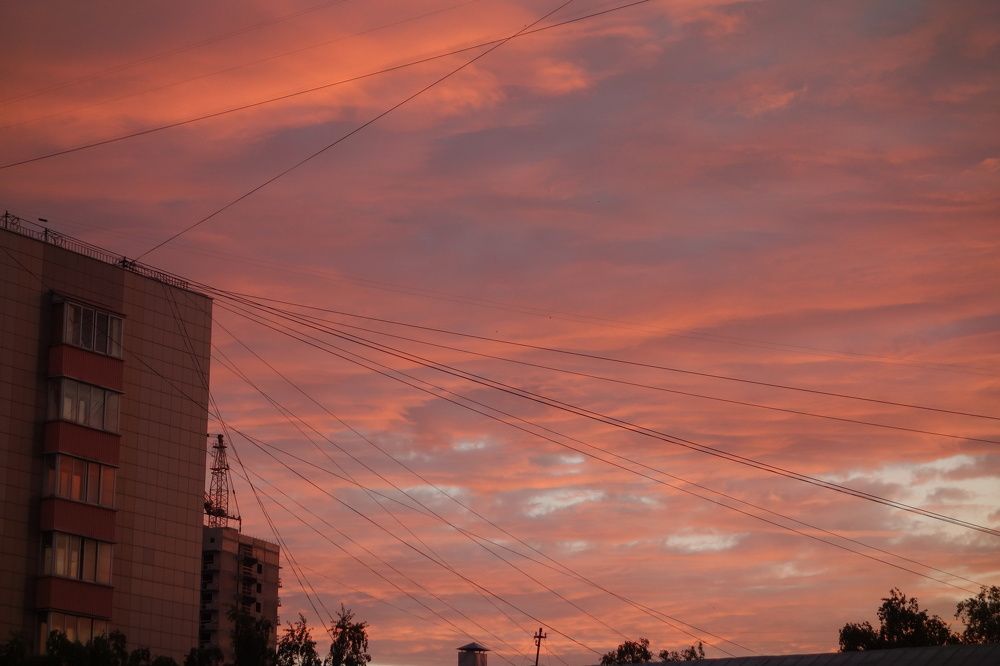 Photograph by Дарья Гришина