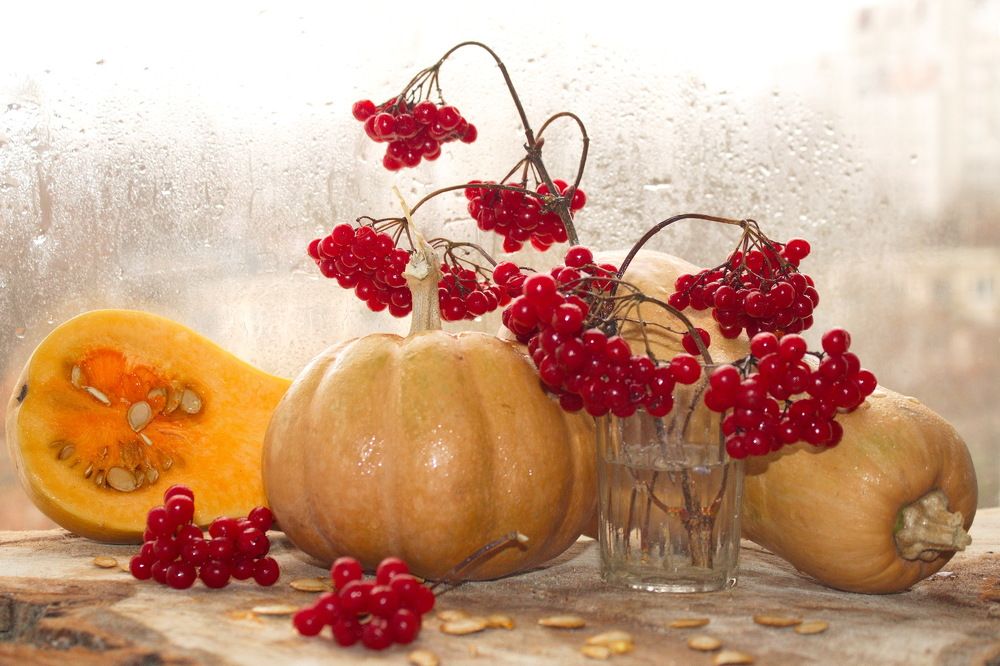 Осенний натюрморт