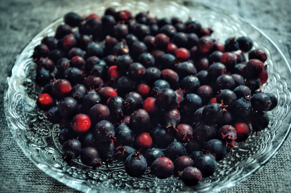 Photograph by Дайана