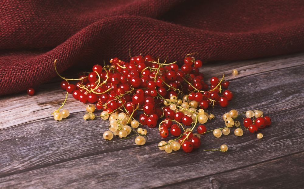 Photograph by Tatiana Kravchuk