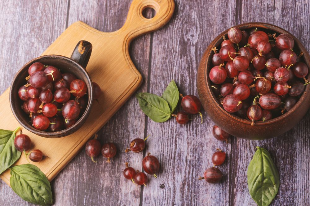 Photograph by Tatiana Kravchuk