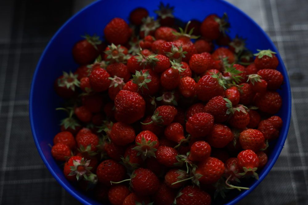 Photograph by Елена Цырюк