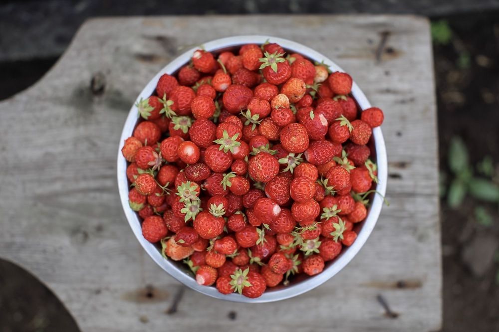 Photograph by Елена Цырюк