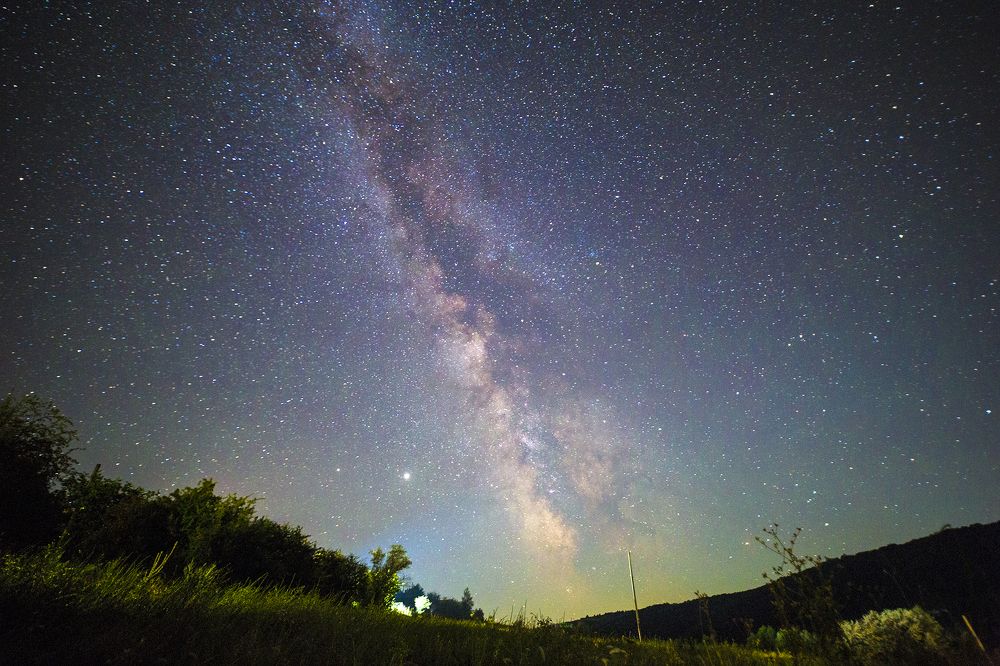 Photograph by Tatiana Kravchuk