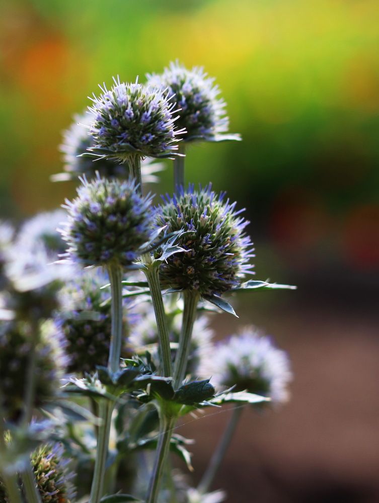 Photograph by Tatyana Semenova