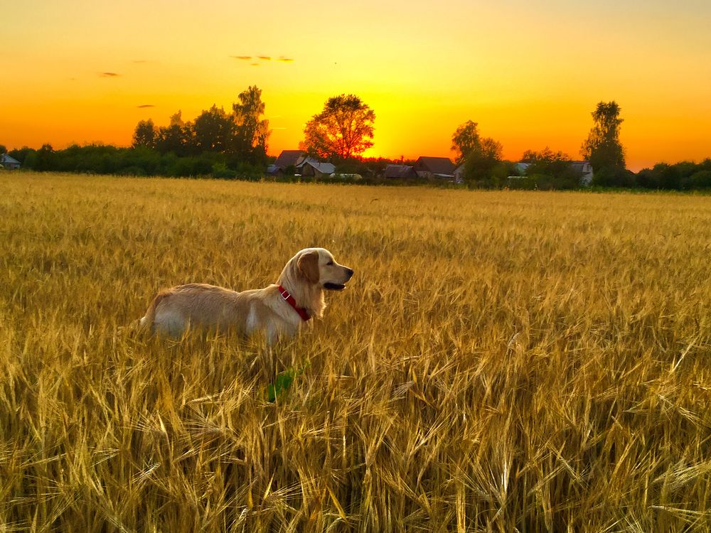 Photograph by Matvey Korotkin