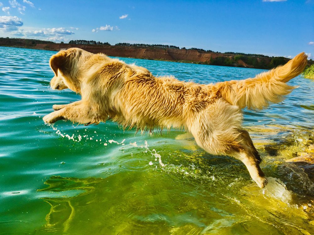 Photograph by Matvey Korotkin