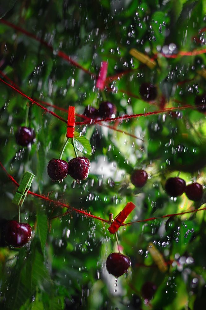 Photograph by Eugeniu Novac