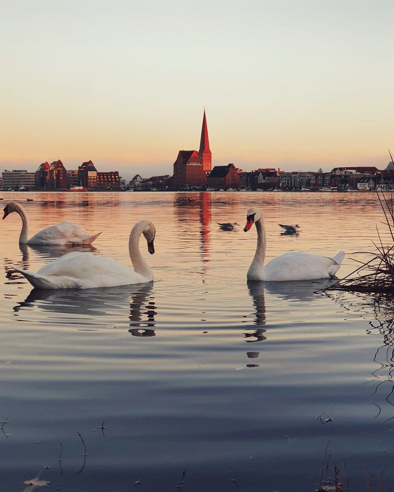 На закате дня