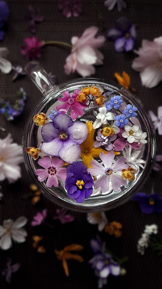 Photograph by Ольга Богорад