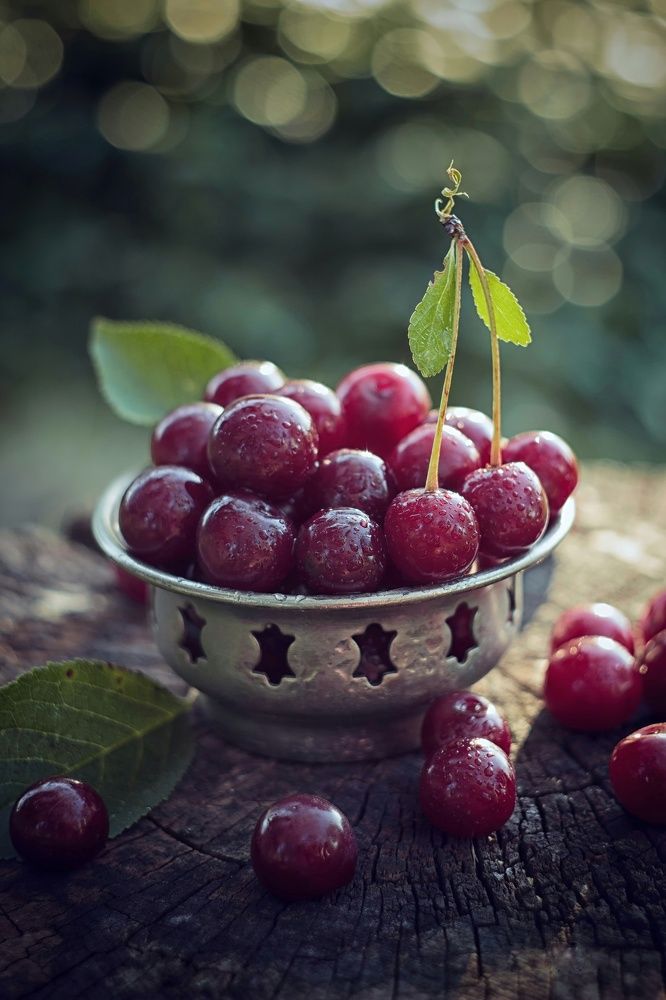 Спелая вишня