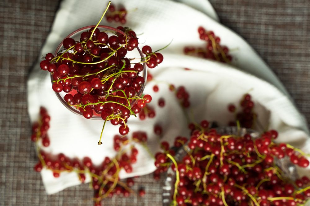 Фотография автора Василиса Новикова