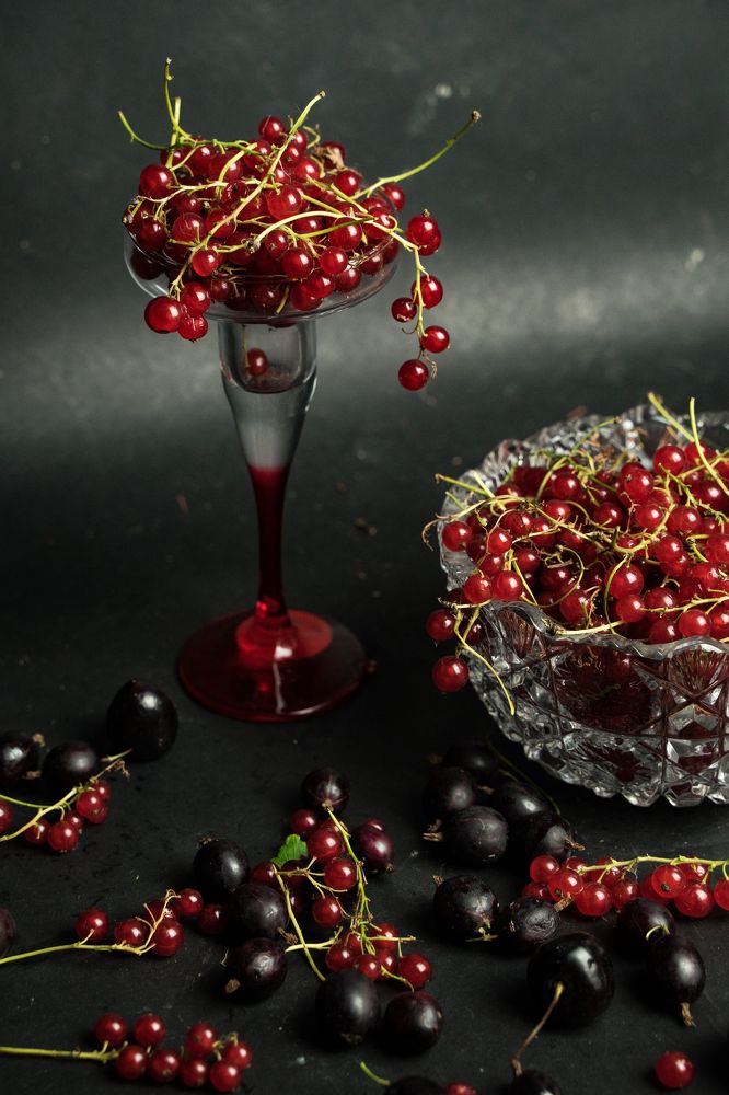 Фотография автора Василиса Новикова