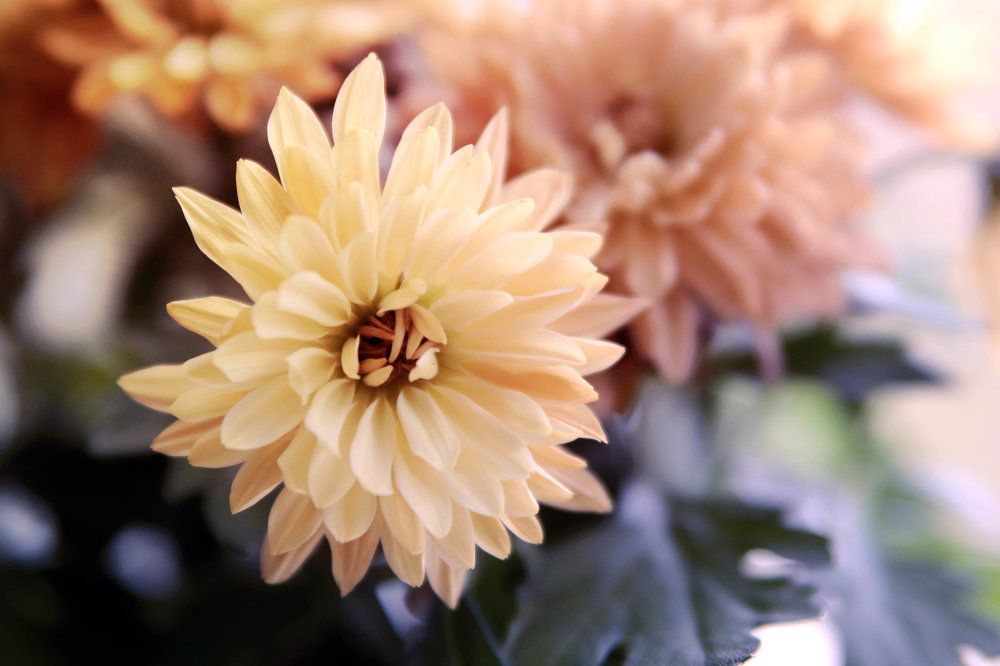 Photograph by Elitza Petkova