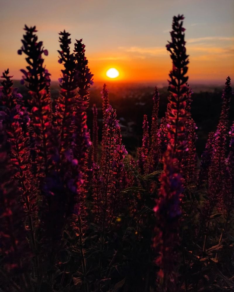 Photograph by Виктория