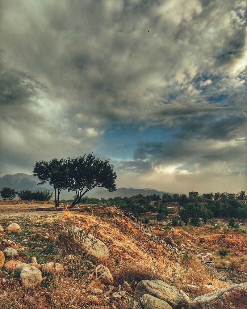 Photograph by Виктория