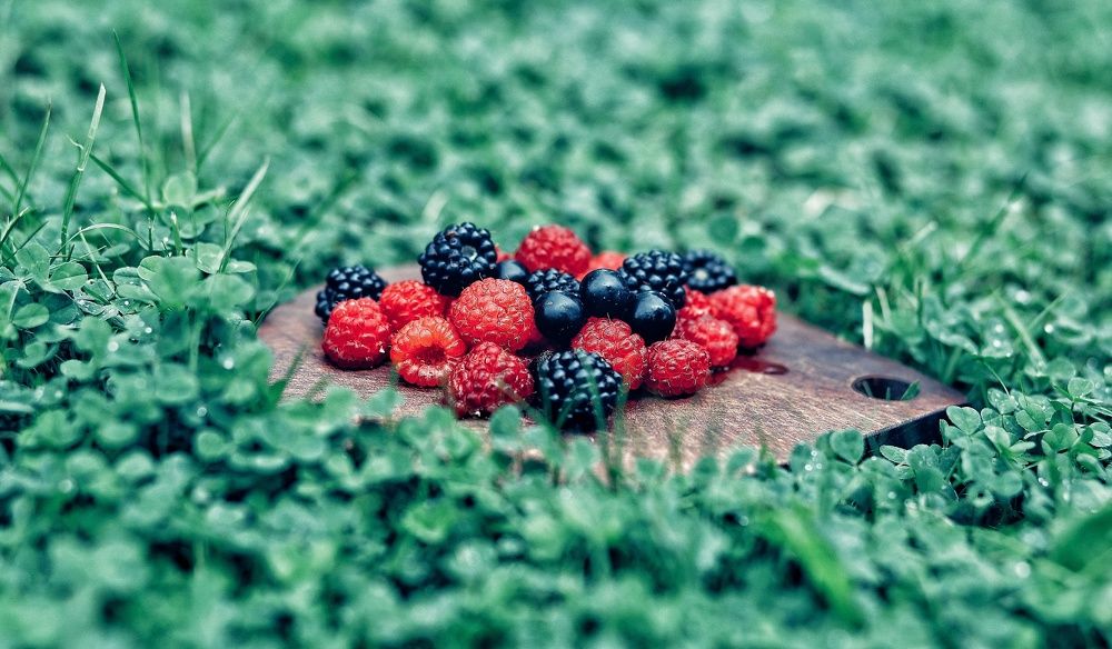 Летние ягоды