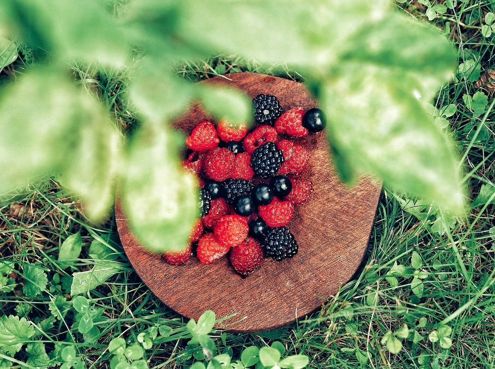 Под яблоней